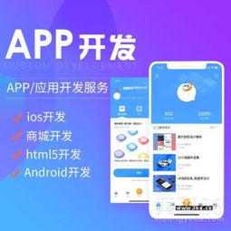 软件开发与APP定制系统 技术驱动下的创新解决方案